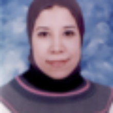 This image shows Shymaa Elleithy